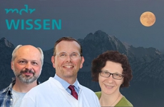 Bild zur Meldung